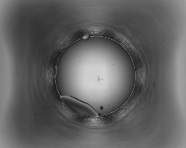 X0000116560509200912171412