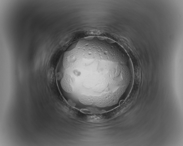 X0000116560511200912171412