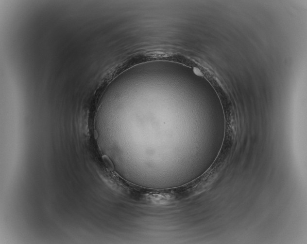 X0000116560512200912171412