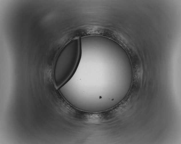 X0000116560513200912171412