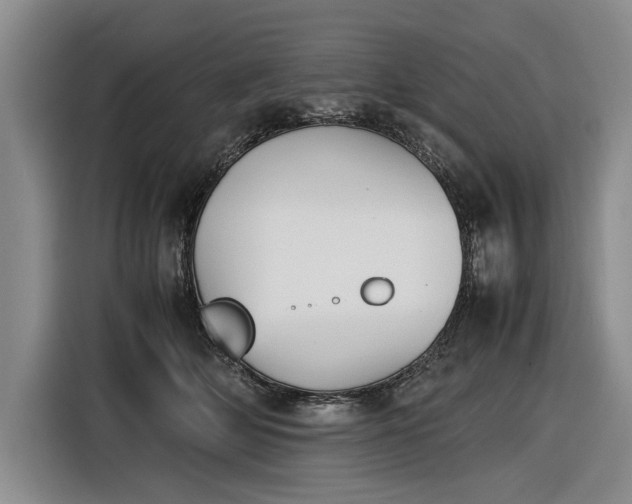 X0000116560514200912171412