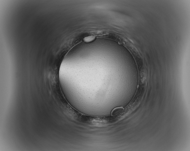 X0000116560515200912171412