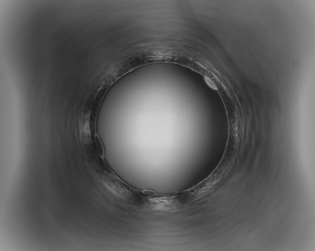 X0000116560516200912171412