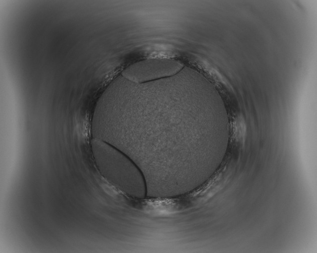 X0000116560517200912171412