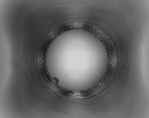 X0000116560518200912171412