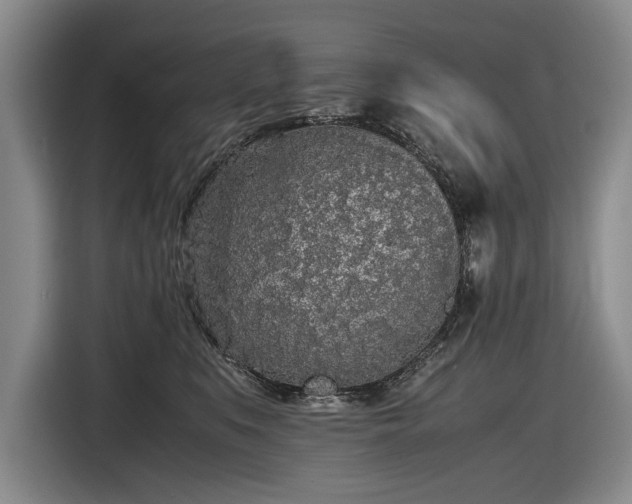 X0000116560519200912171412