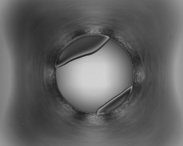 X0000116560521200912171412