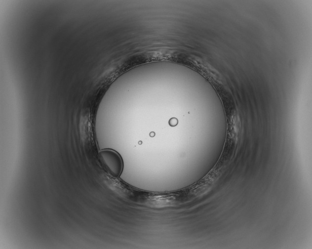 X0000116560522200912171412