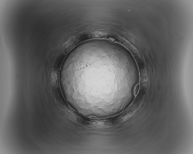 X0000116560523200912171412