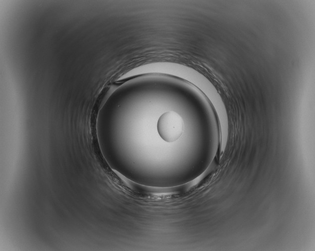 X0000116560524200912171412