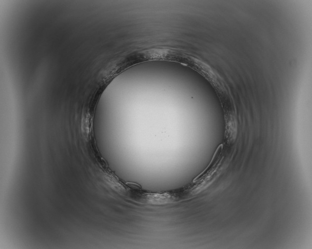 X0000116560525200912171412