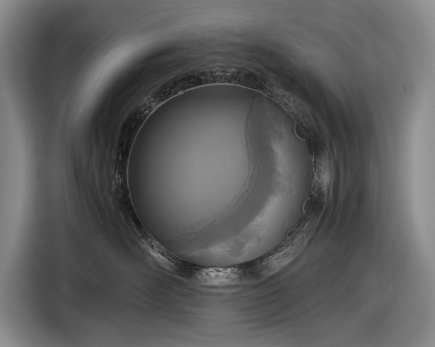 X0000116560526200912171412