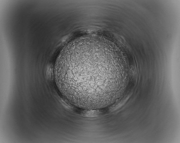 X0000116560527200912171412