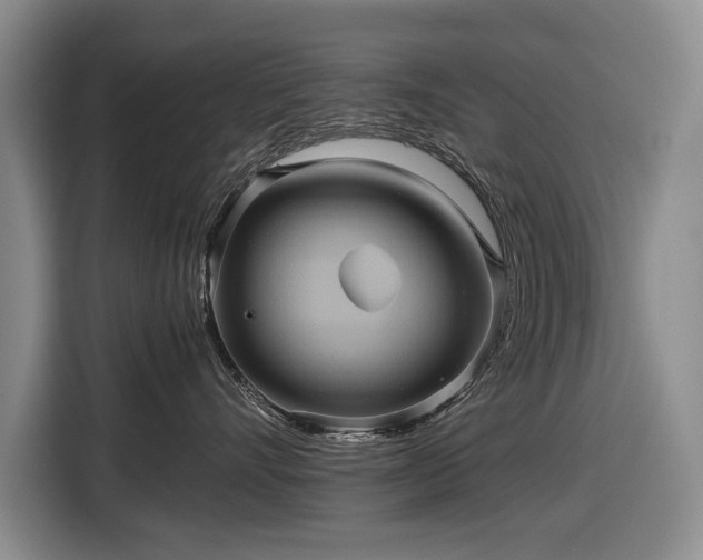 X0000116560528200912171412