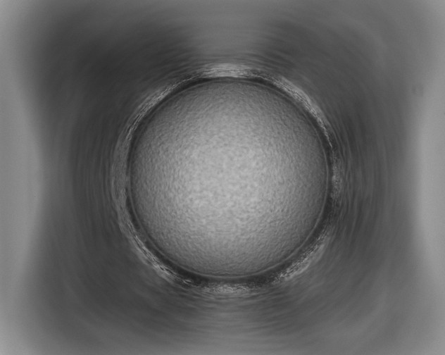 X0000116560529200912171411