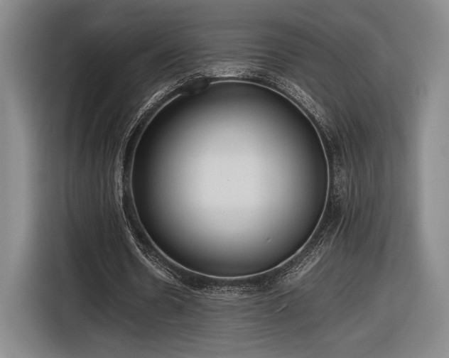 X0000116560530200912171411