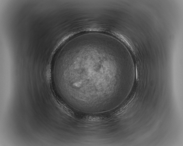 X0000116560531200912171411