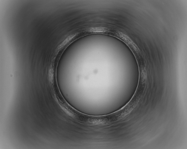 X0000116560533200912171411