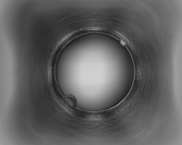 X0000116560535200912171411