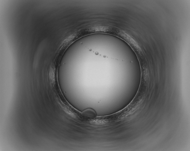 X0000116560537200912171411