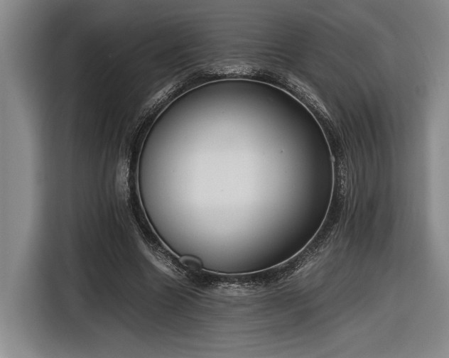 X0000116560538200912171411