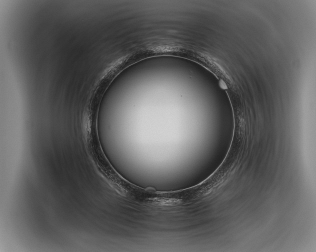 X0000116560539200912171411