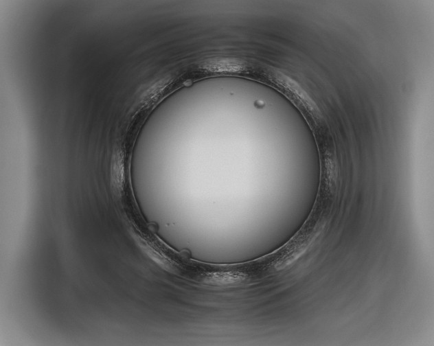 X0000116560541200912171411