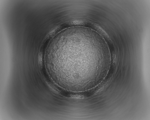 X0000116560542200912171411