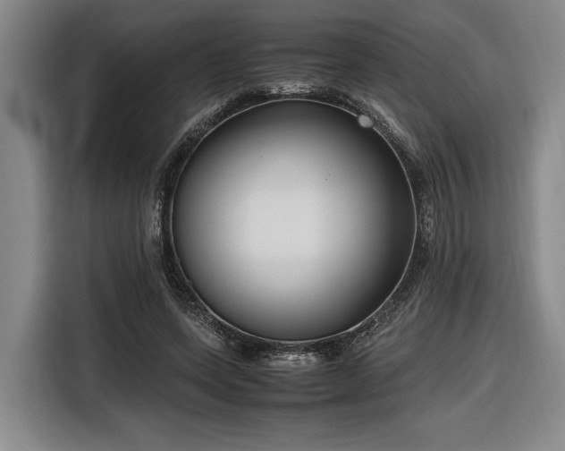 X0000116560543200912171411