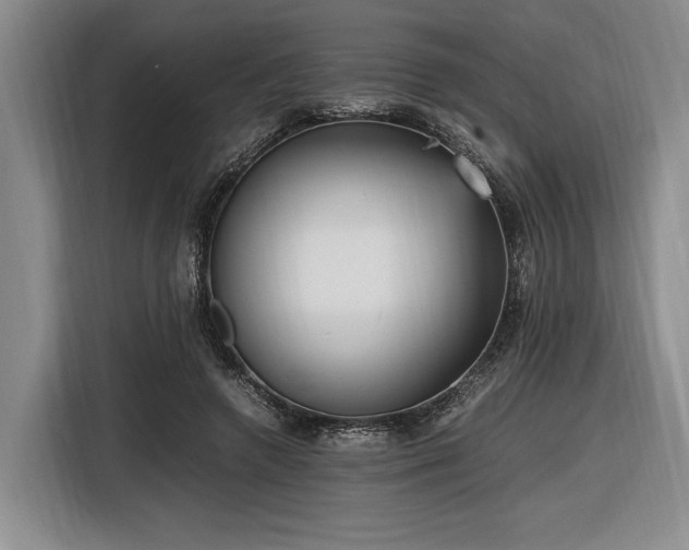 X0000116560546200912171412