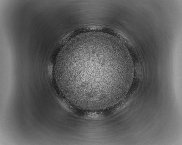 X0000116560550200912171412