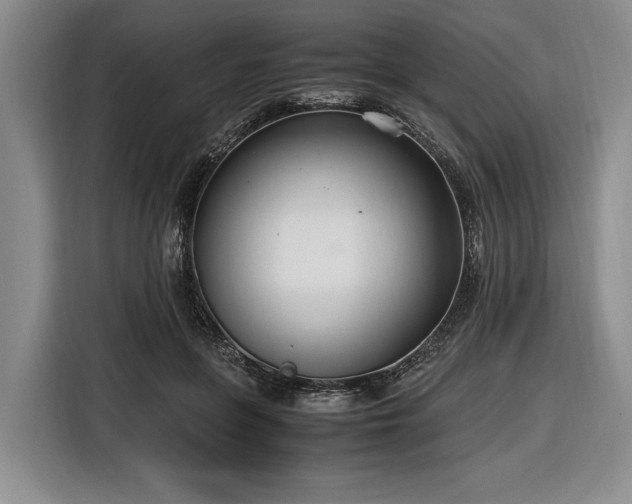 X0000116560551200912171412