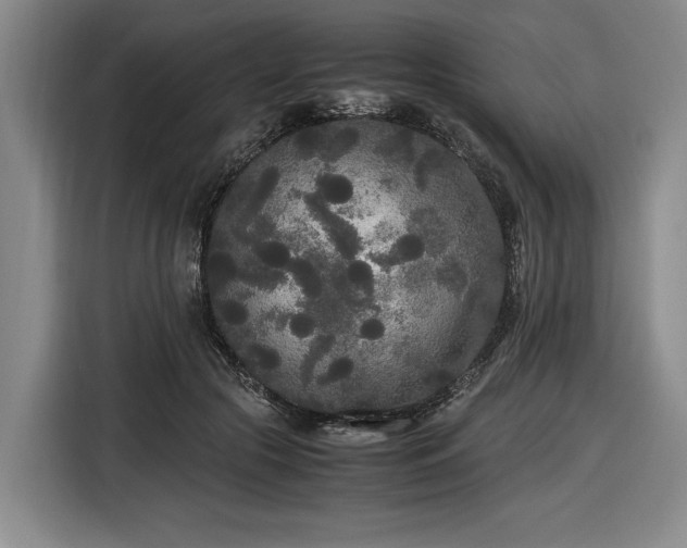 X0000116560553200912171412