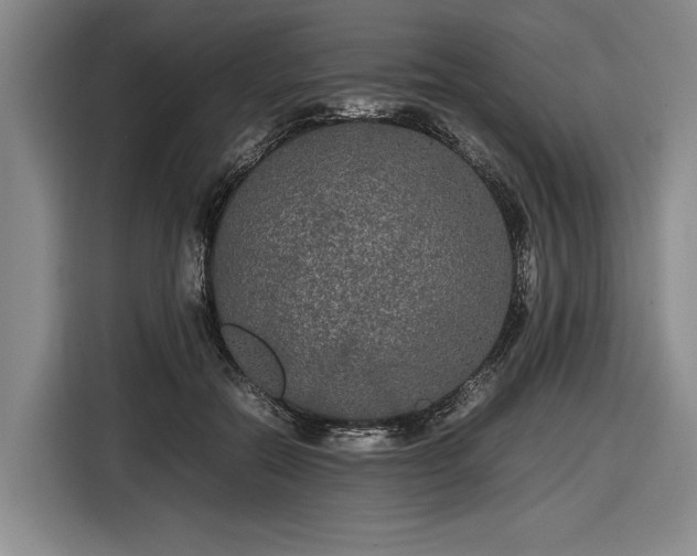 X0000116560554200912171412