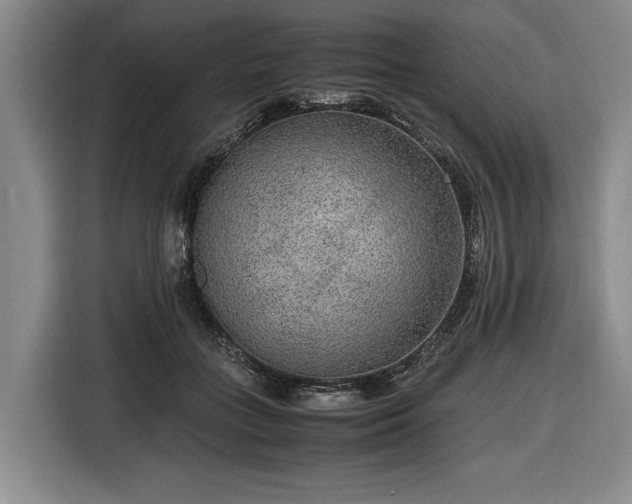 X0000116560555200912171412