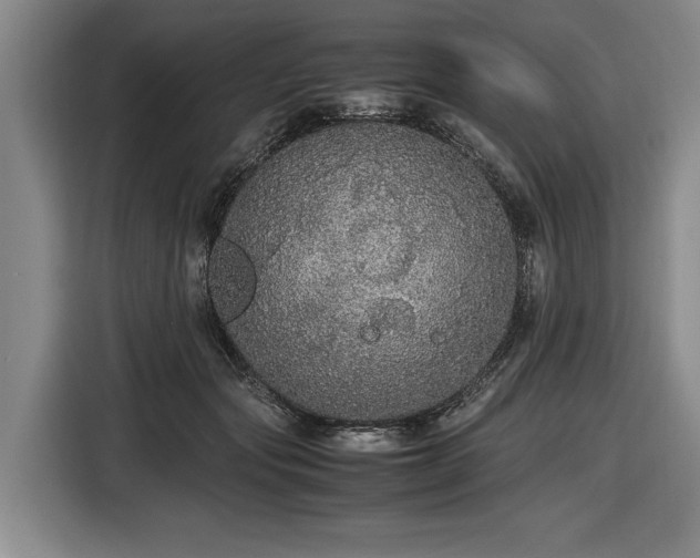 X0000116560557200912171412