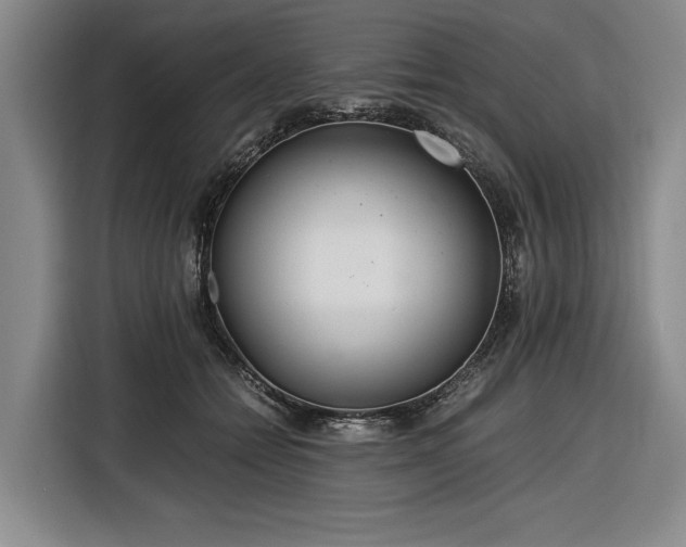 X0000116560558200912171412