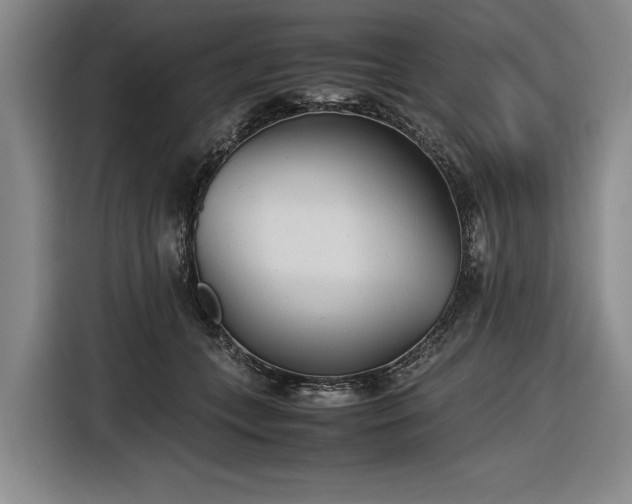 X0000116560559200912171412