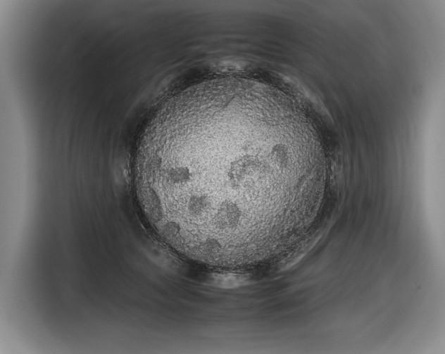 X0000116560561200912171412