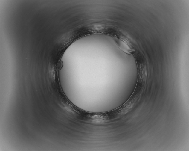 X0000116560562200912171412