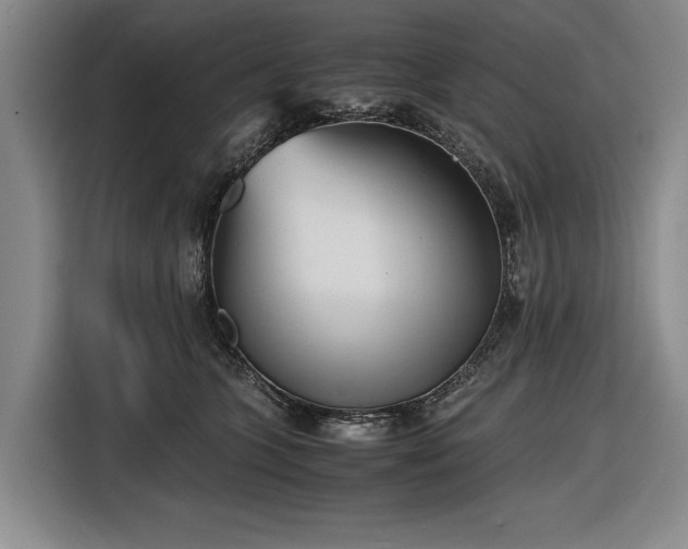 X0000116560563200912171412