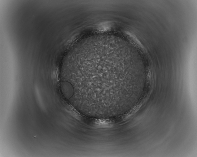 X0000116560565200912171412