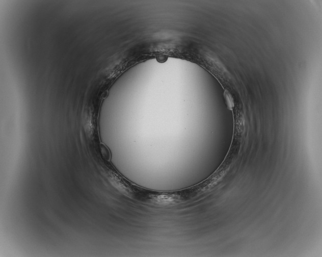 X0000116560566200912171412