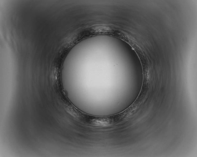 X0000116560567200912171412