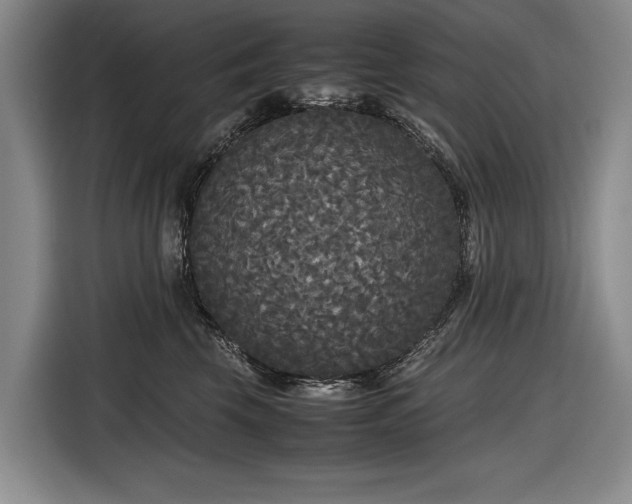 X0000116560569200912171412