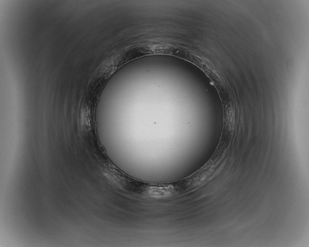 X0000116560571200912171412