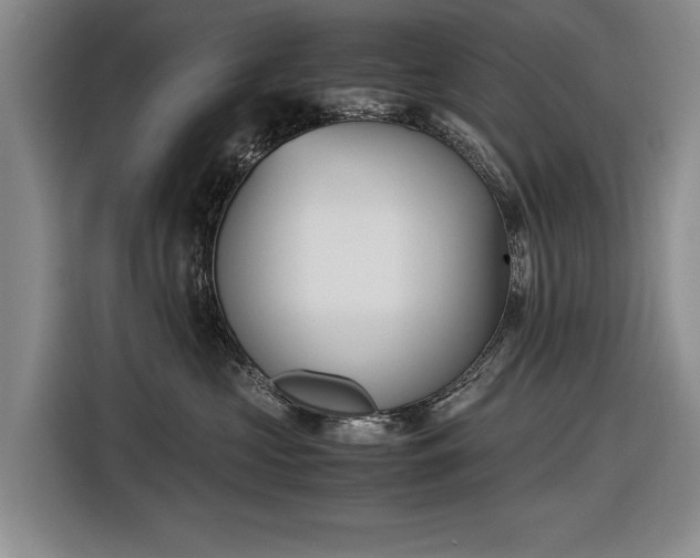 X0000116560573200912171412