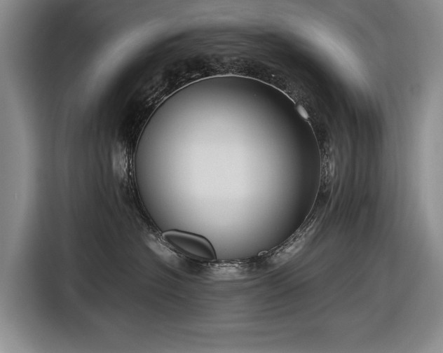 X0000116560574200912171412