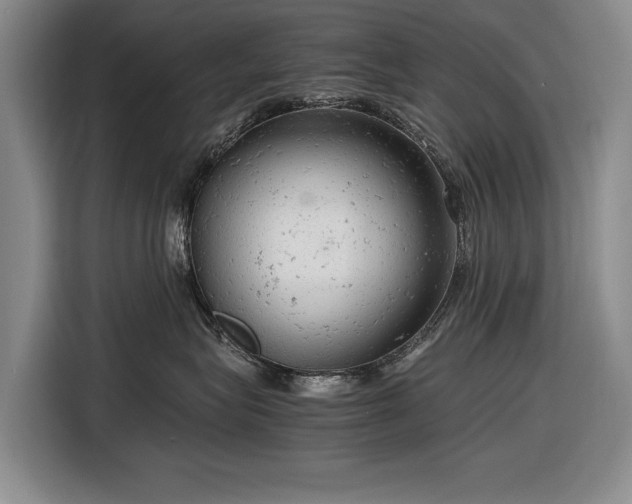 X0000116560575200912171412