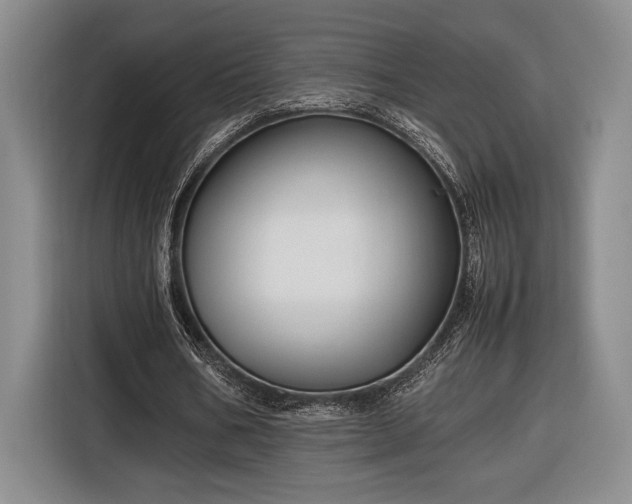 X0000116560578200912171411